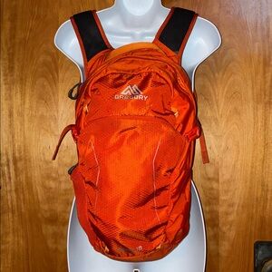 Gregory Nano 18 L Techno Trail Hiking H2O Daypack Backpack Orange, Black & Gray